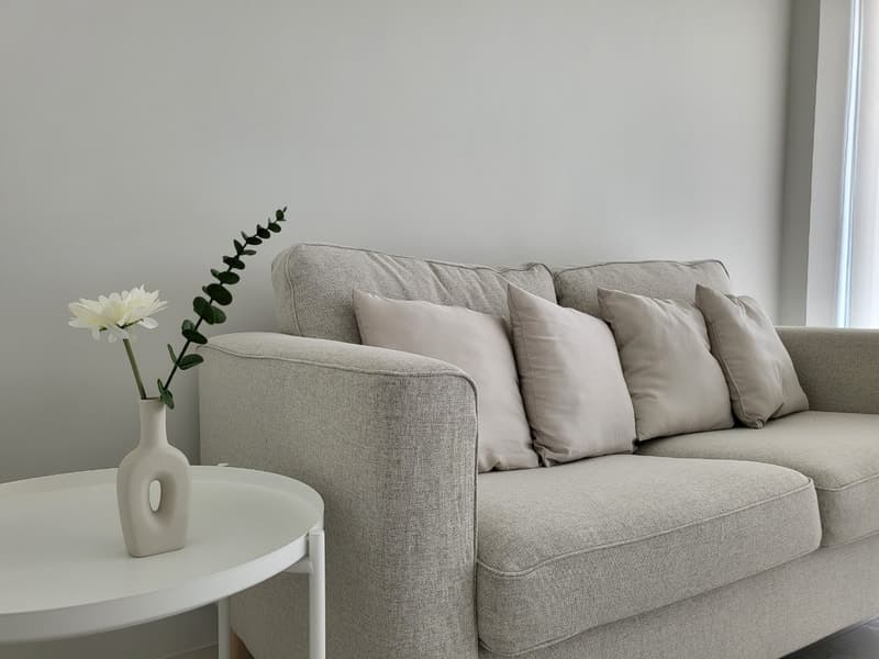 Professional therapy session